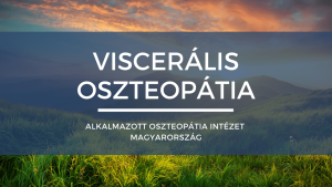 Read more about the article Viscerális oszteopátia